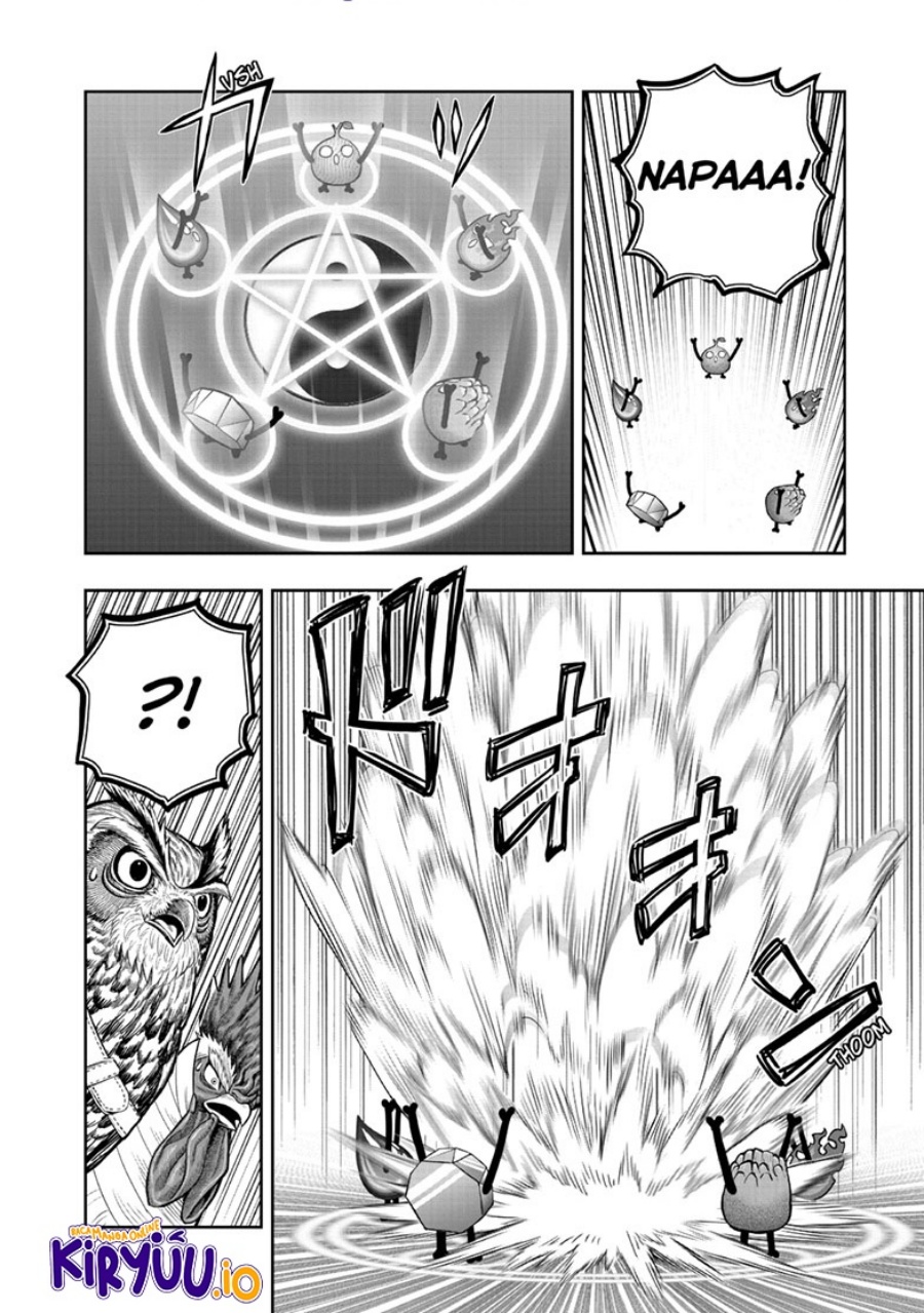 Niwatori Fighter (Rooster Fighter) Chapter 47 Bahasa Indonesia