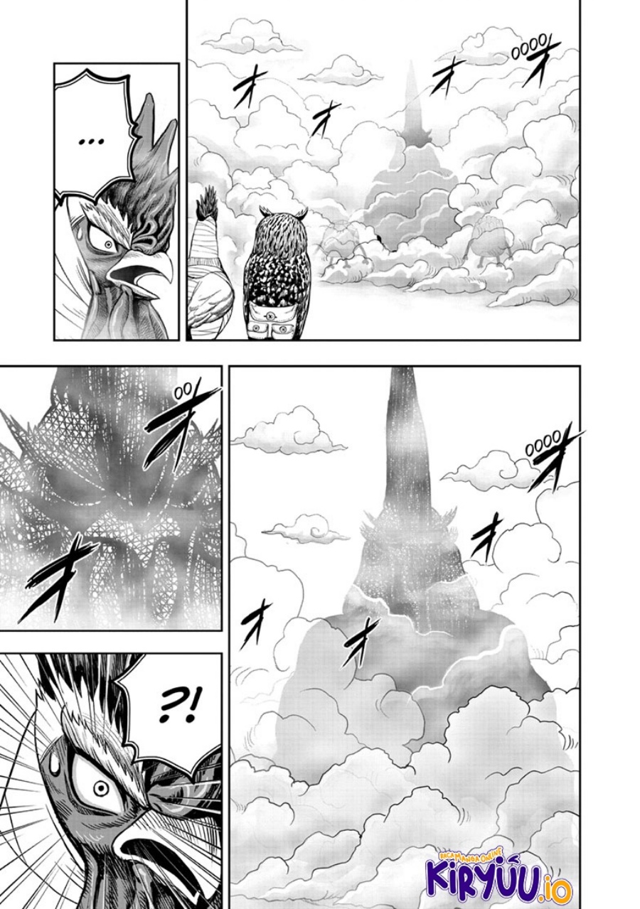 Niwatori Fighter (Rooster Fighter) Chapter 47 Bahasa Indonesia