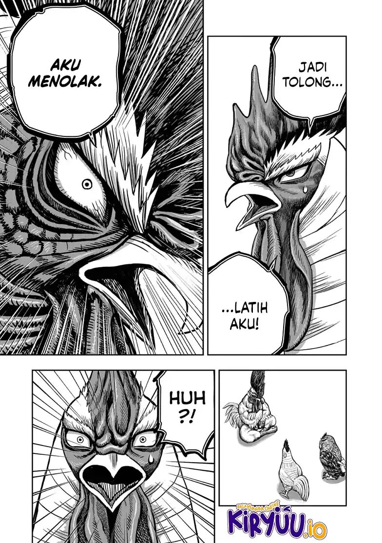 Rooster Fighter chapter 48