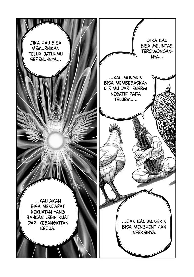 Rooster Fighter chapter 48