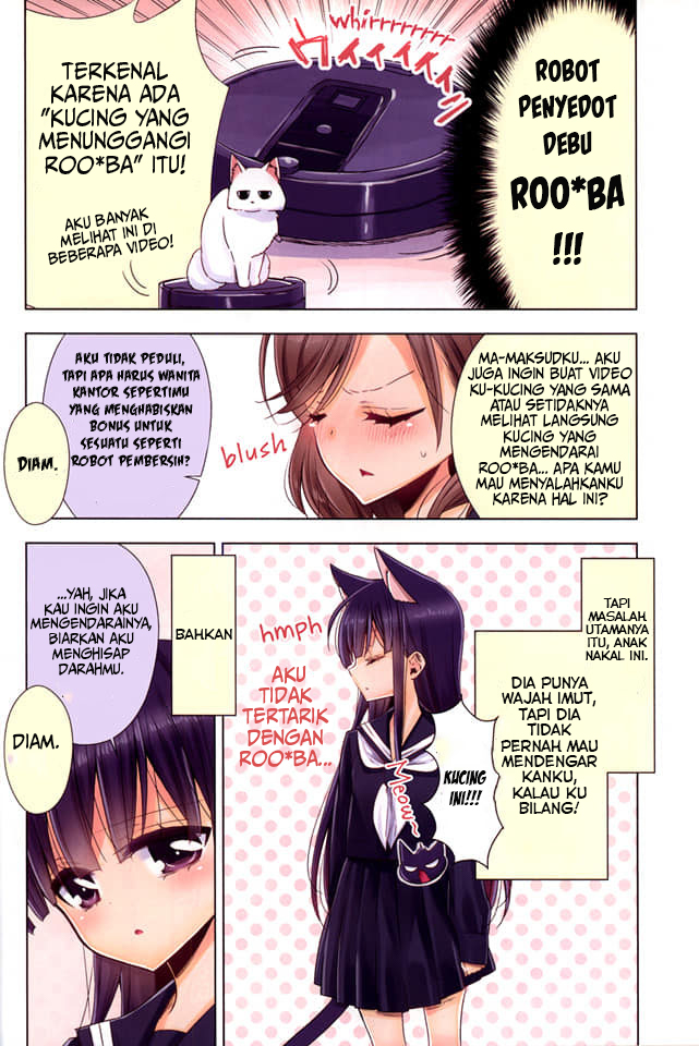 OL-san ga Neko wo Hirou Hanashi chapter 2