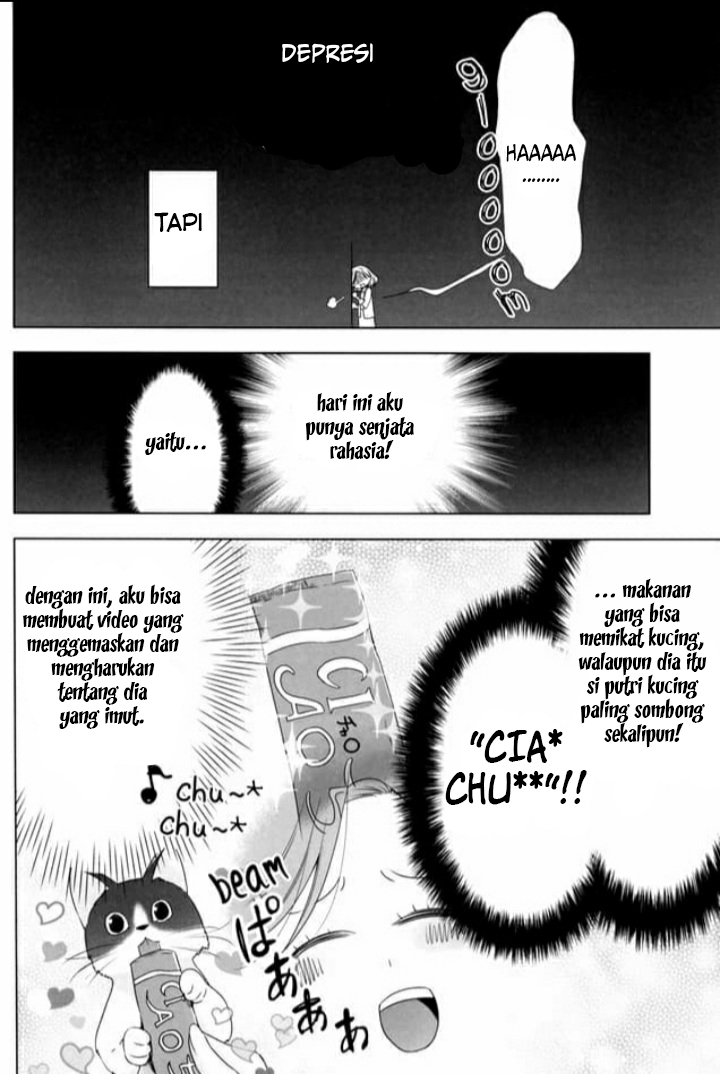 OL-san ga Neko wo Hirou Hanashi chapter 2