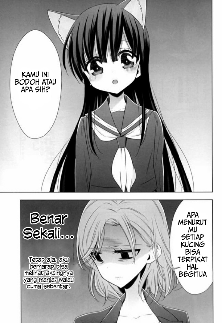 OL-san ga Neko wo Hirou Hanashi chapter 2