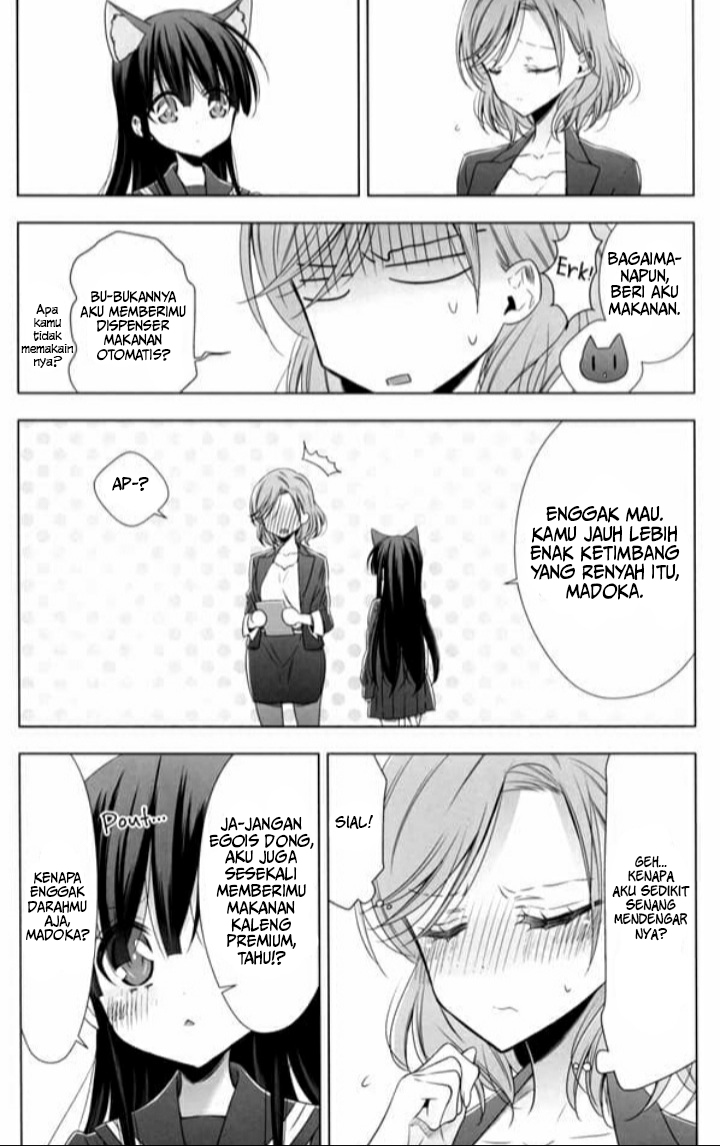 OL-san ga Neko wo Hirou Hanashi chapter 2