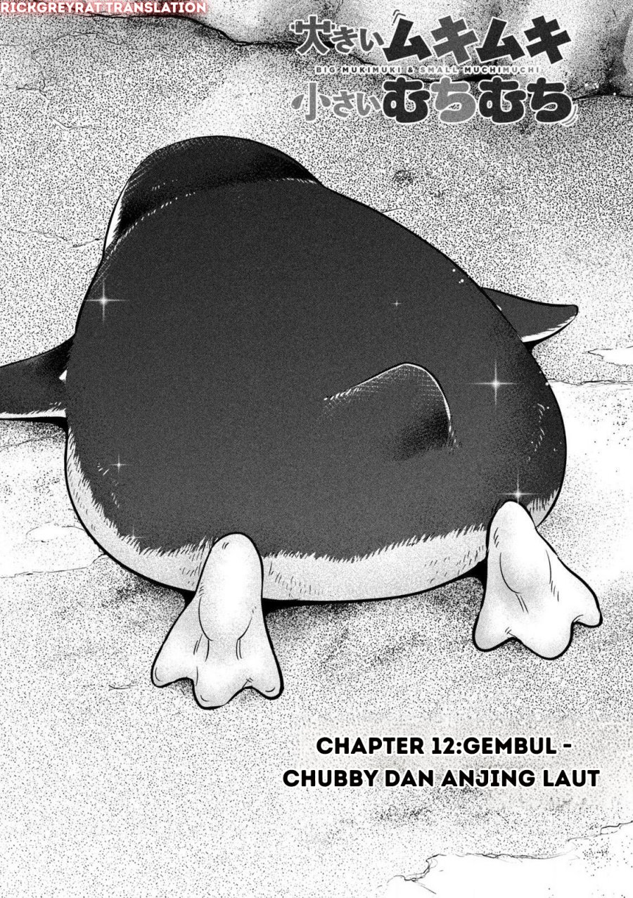 Ookii Muki Muki Chiisai Muchi Muchi Chapter 12 Bahasa Indonesia