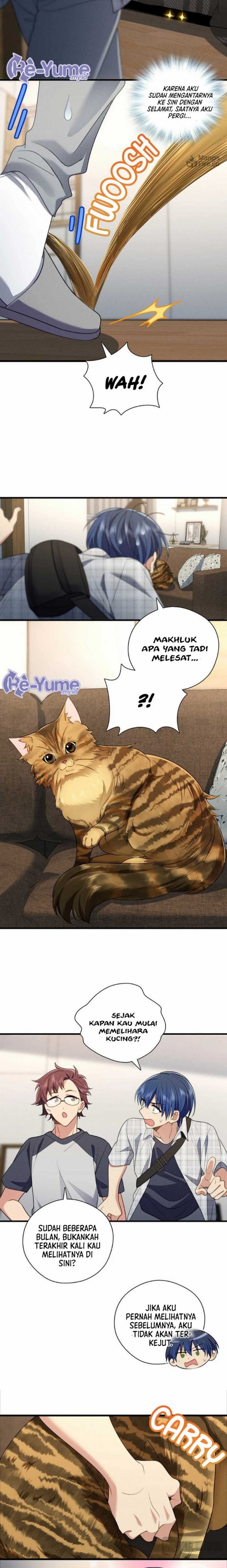 Please Behave, My Wife (My Wife, Please Calm Down) chapter 66