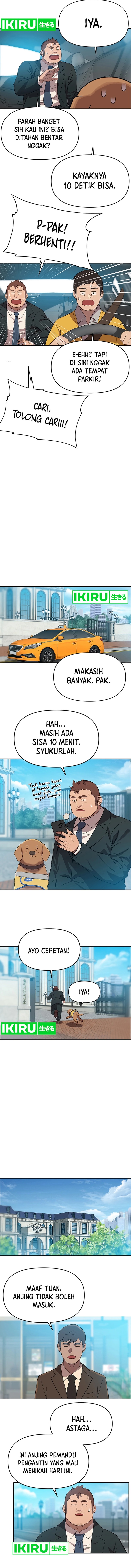 Rainbow Bridge Watchman chapter 107