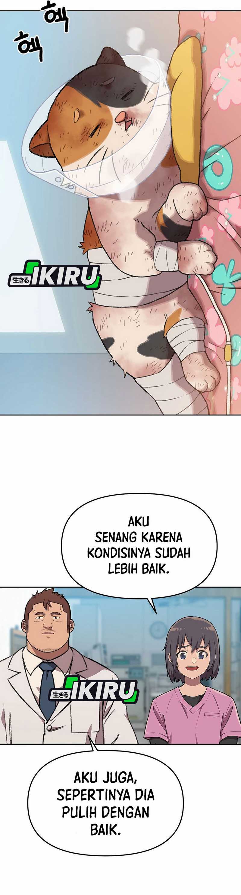 Rainbow Bridge Watchman chapter 151