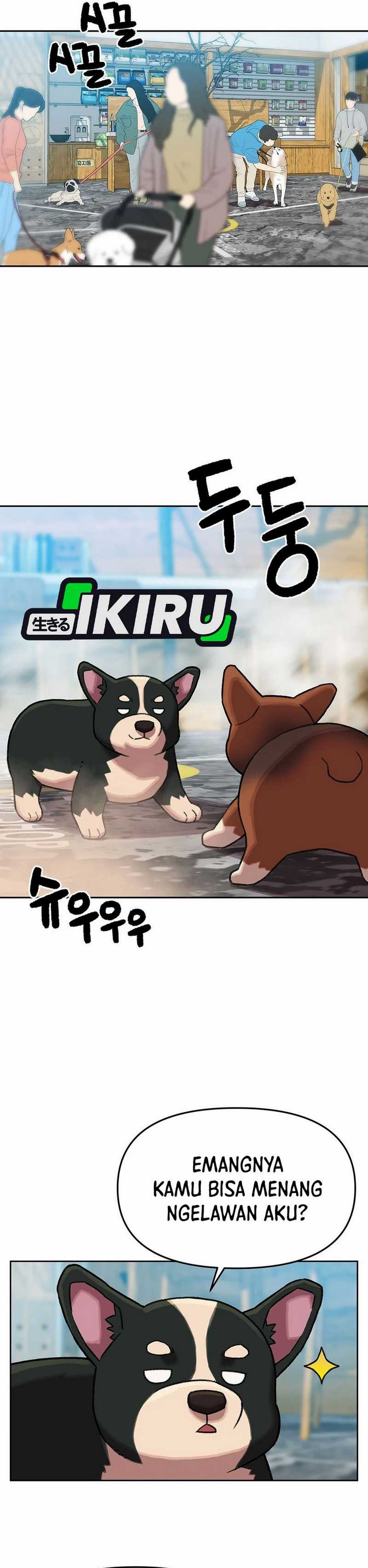 Rainbow Bridge Watchman chapter 161