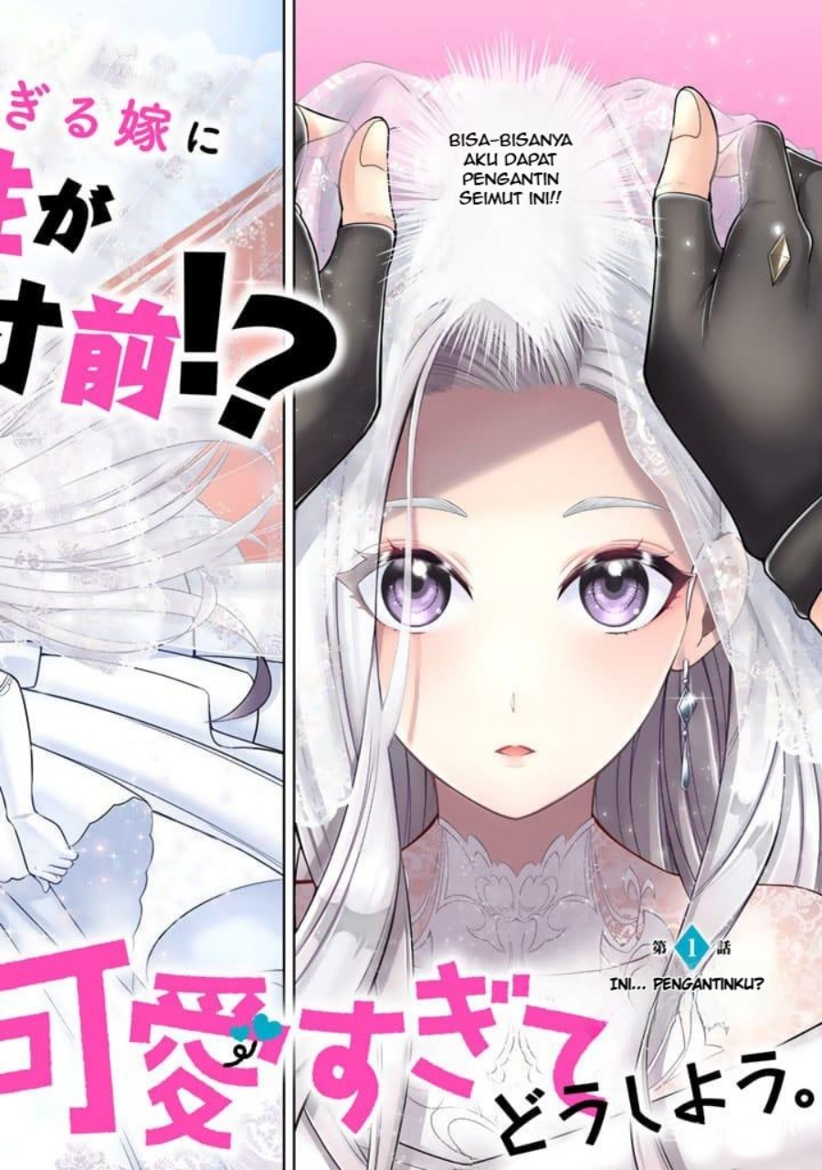 Rinkoku kara Kita Yome ga Kawaisugite Doushiyou Chapter 01 Bahasa Indonesia
