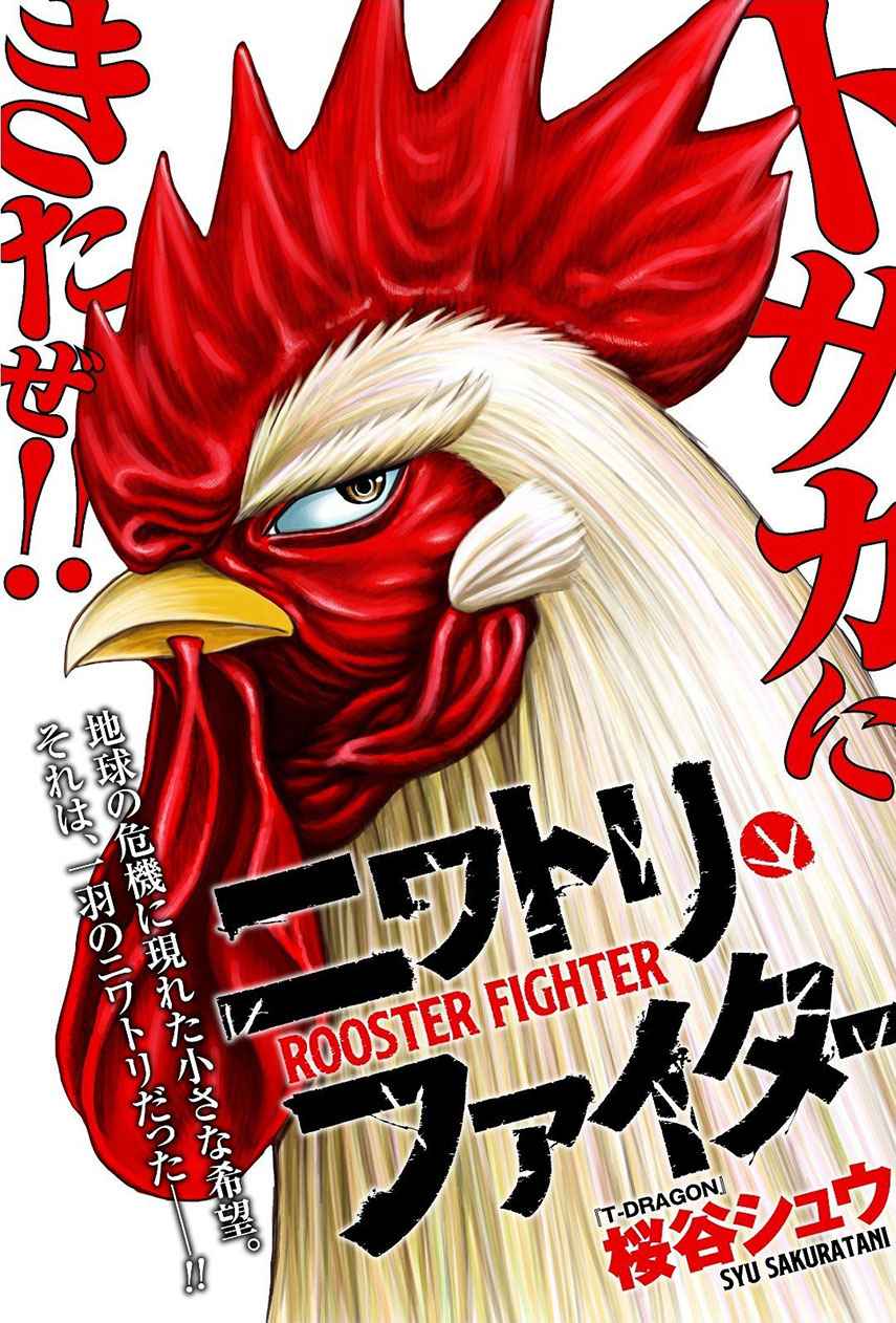 Rooster Fighter chapter 1
