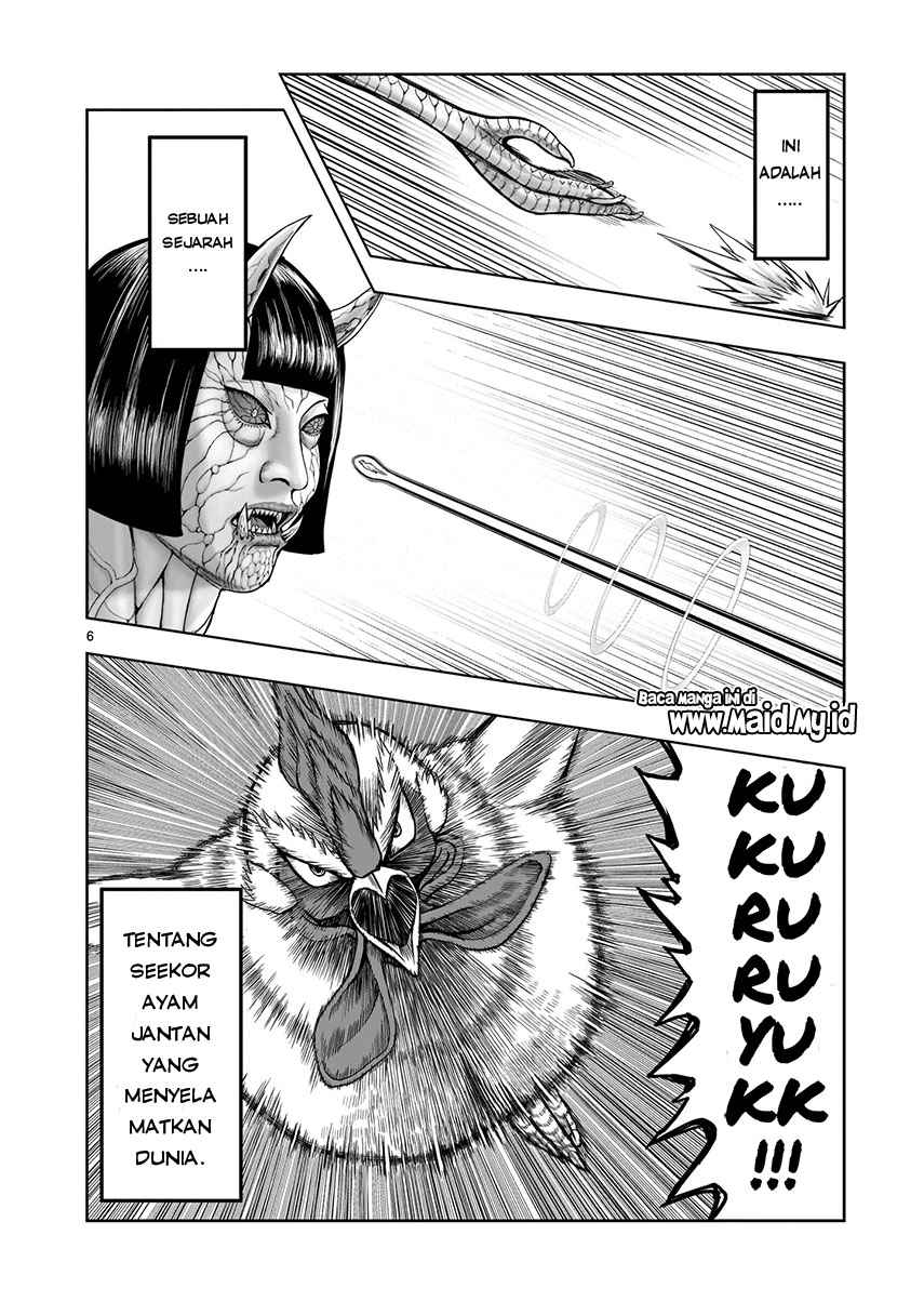Rooster Fighter chapter 1