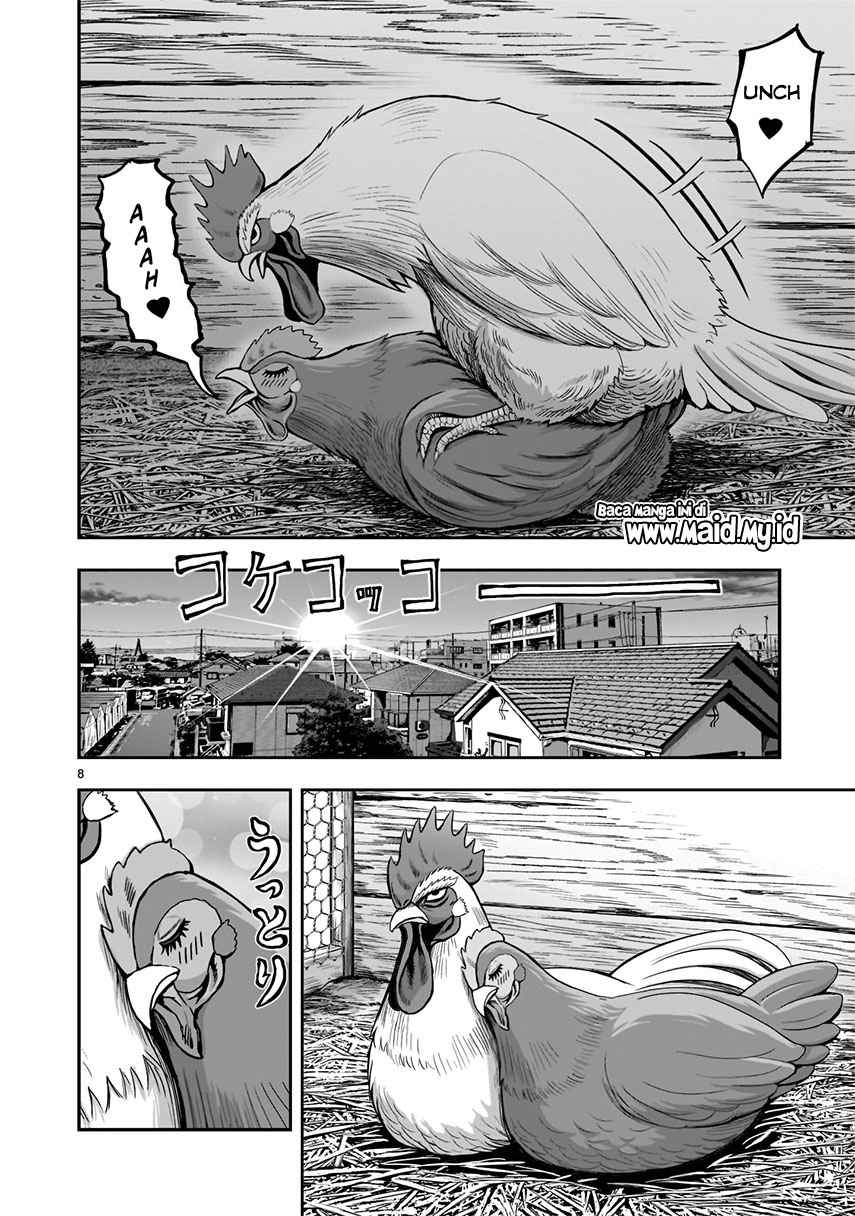 Rooster Fighter chapter 1