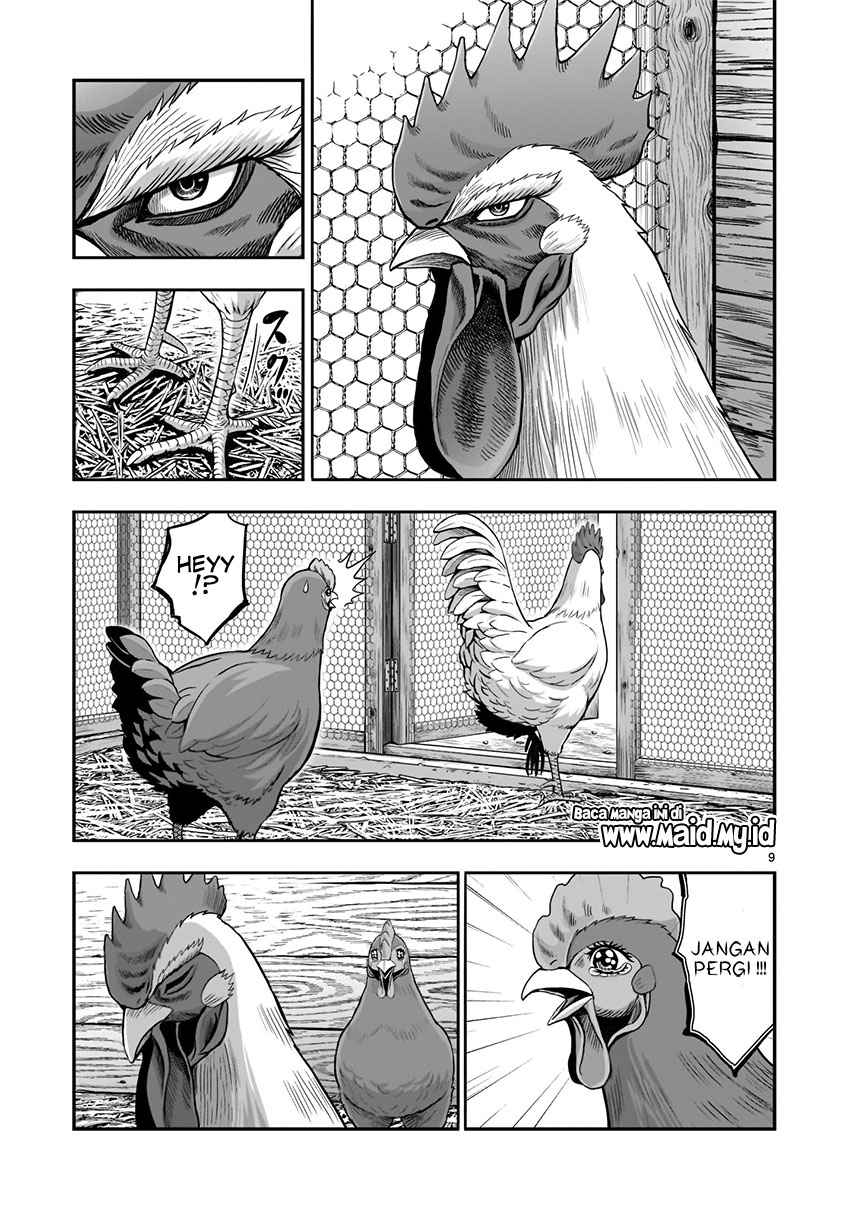 Rooster Fighter chapter 1
