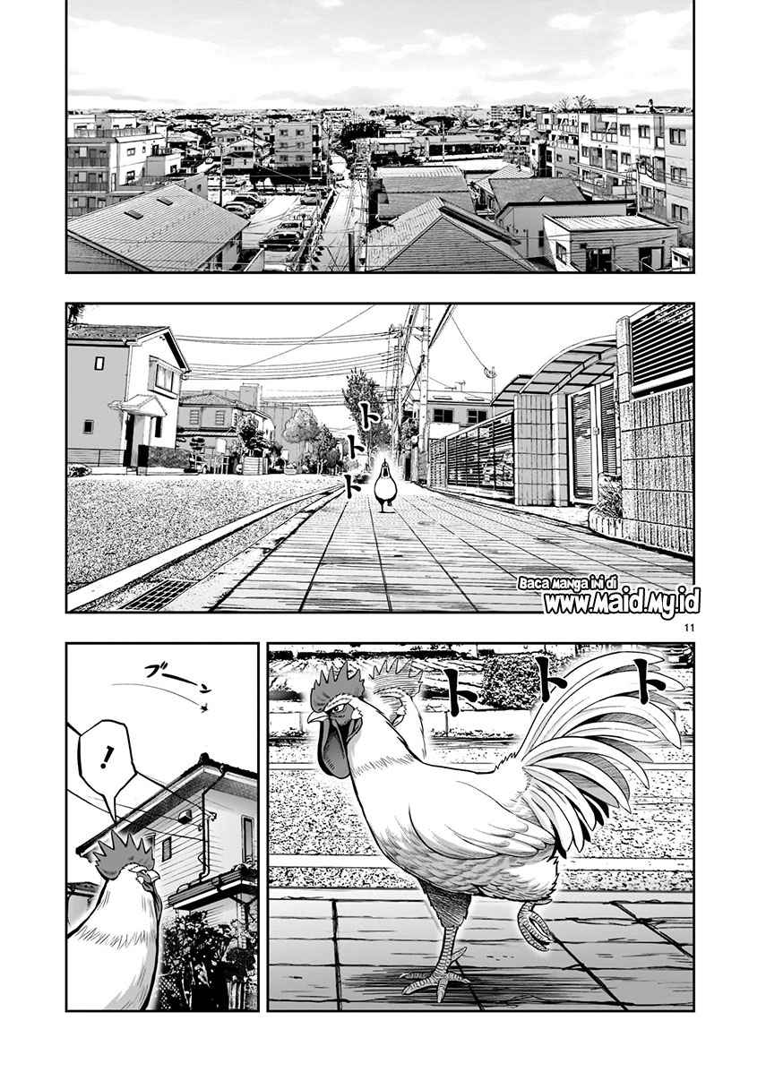 Rooster Fighter chapter 1