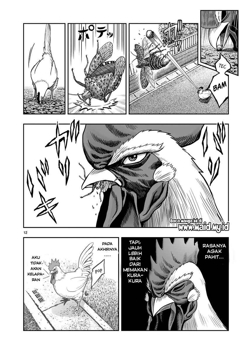 Rooster Fighter chapter 1