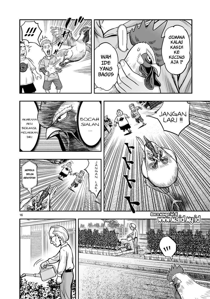Rooster Fighter chapter 1