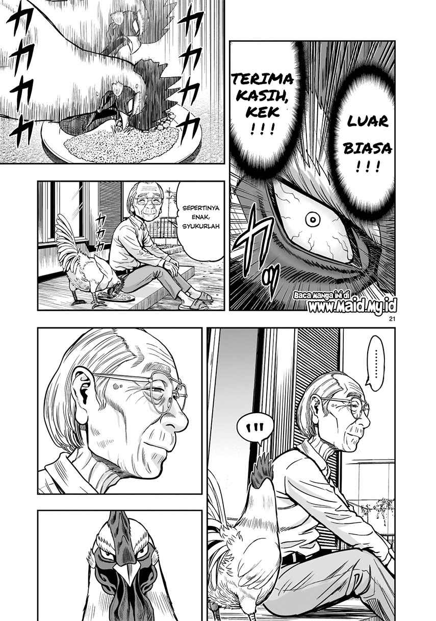 Rooster Fighter chapter 1