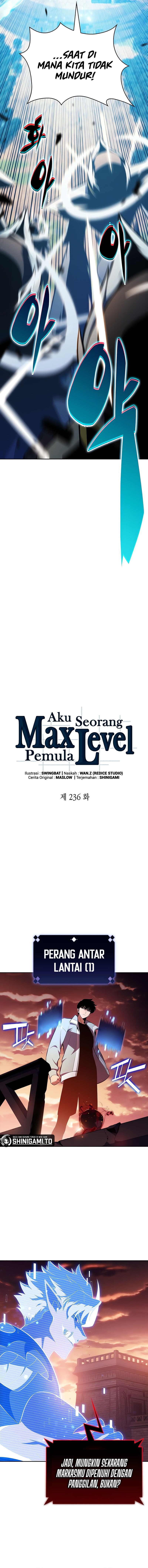 Solo Max-Level Newbie Chapter 236 Bahasa Indonesia