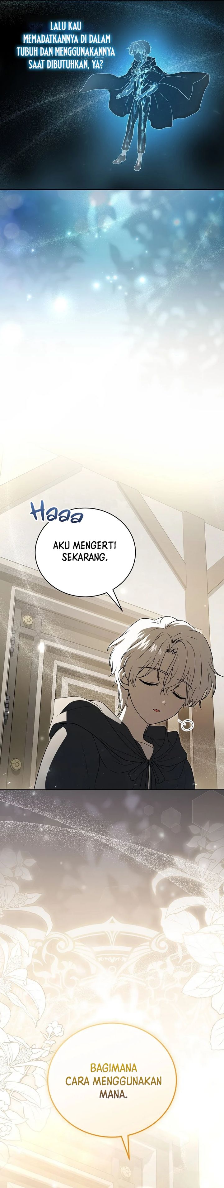 The Concept-Grasping Magical Genius chapter 2