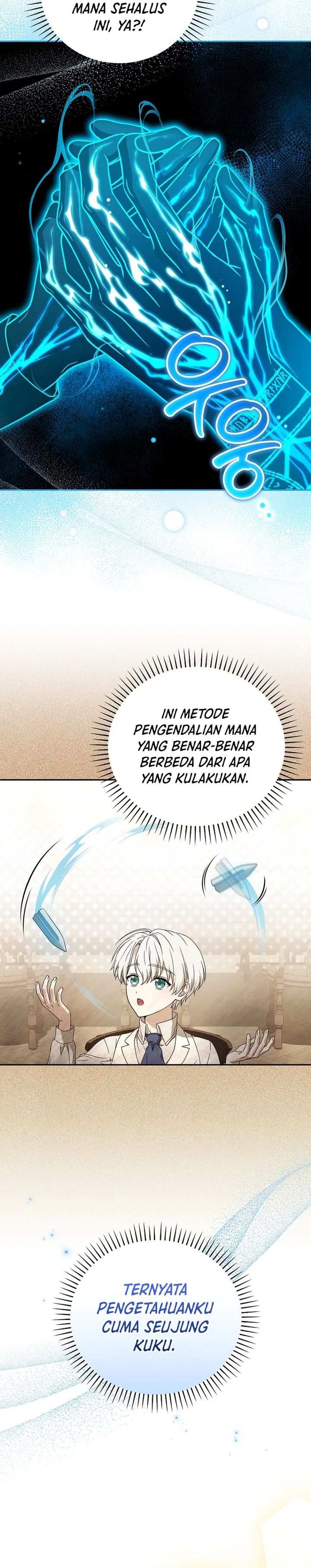 The Concept-Grasping Magical Genius chapter 9