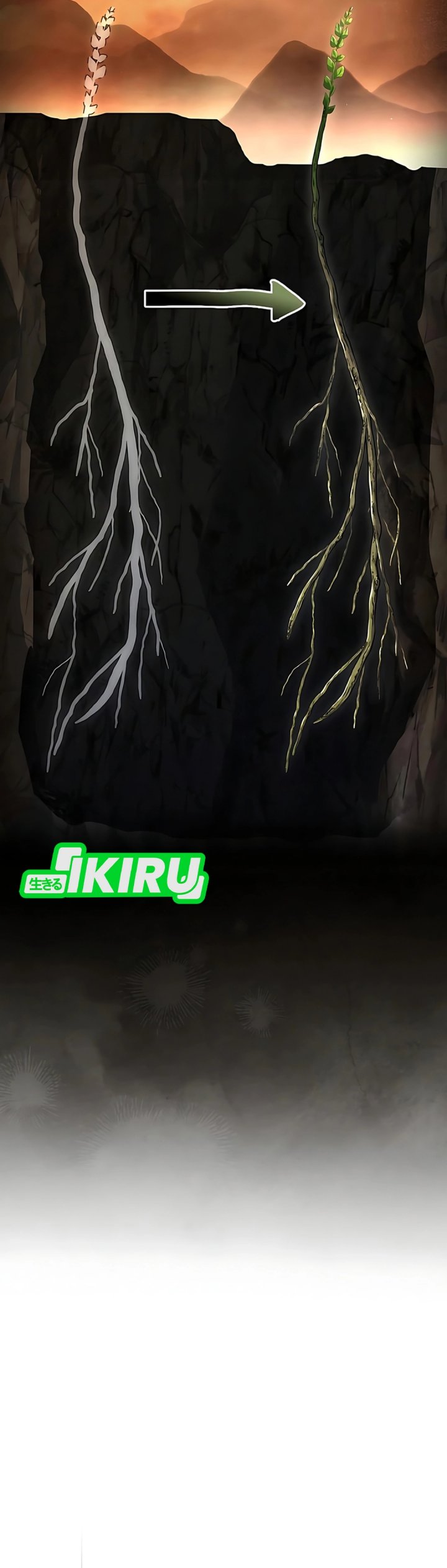 The Crown Prince That Sells Medicine chapter 92