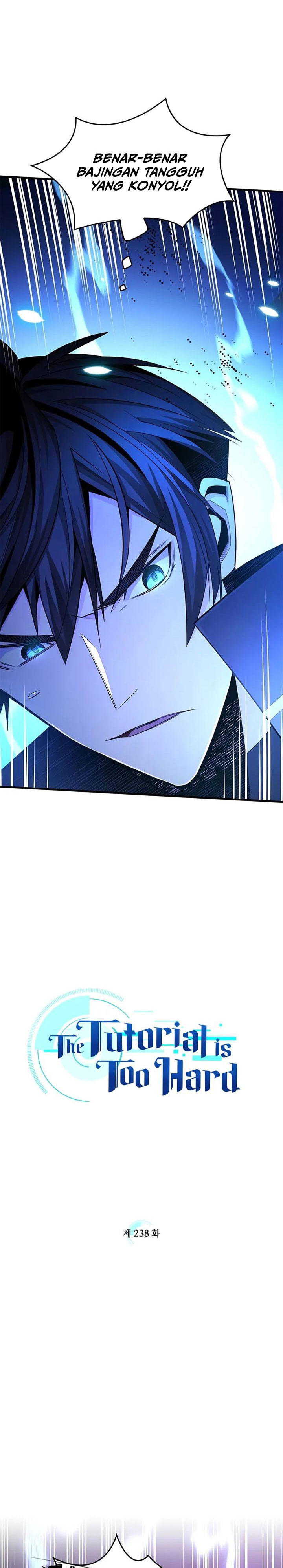 The Tutorial is Too Hard chapter 238