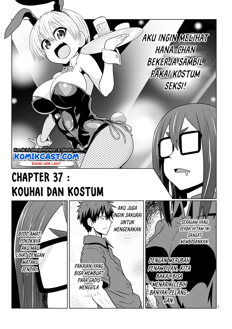 Uzaki-chan wa Asobitai! chapter 37