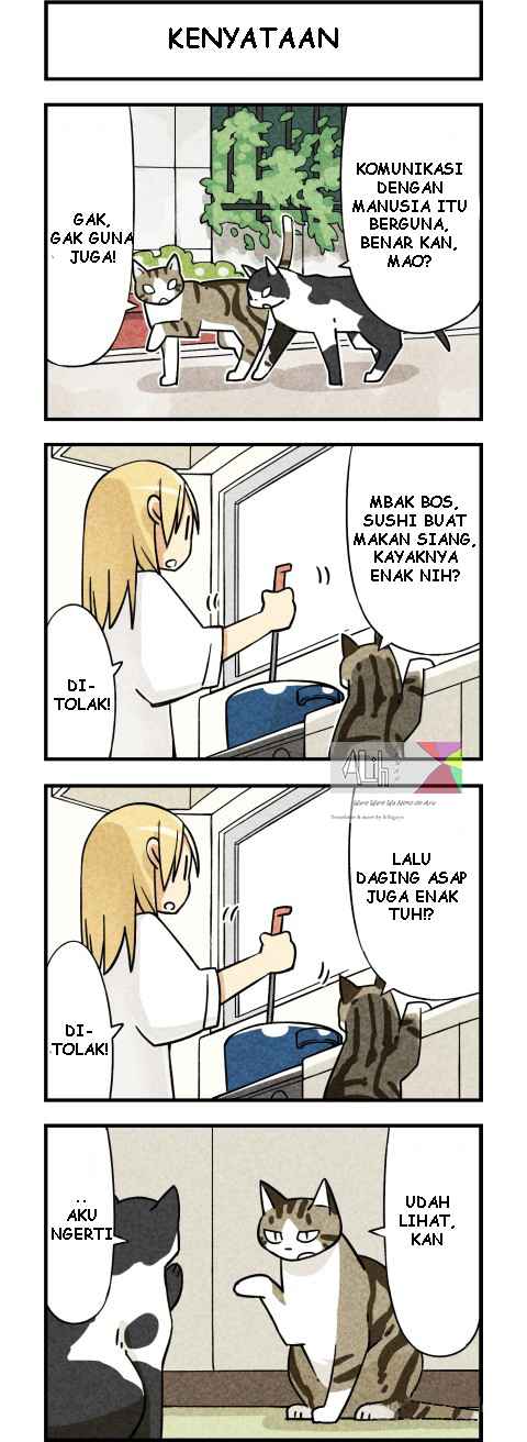 We Are Cats chapter 3